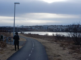 Morning Stroll