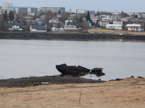 Rotting Wreck