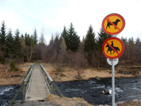 Wrong Crossing