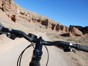 Trail