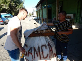 Samsa