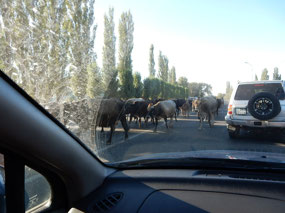 Traffic Block