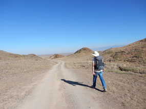 Walking