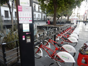 Bike Rentals