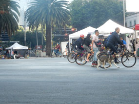 Bikes