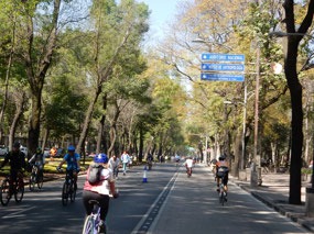 Chapultepec Area