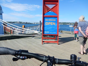 Sea Bridge