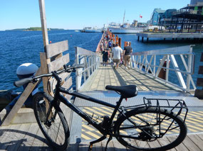 Wobbly Bridge