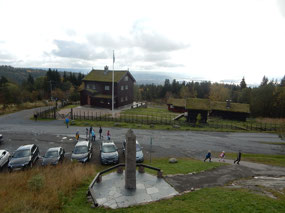Grass Roofs