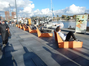 Sun Chairs