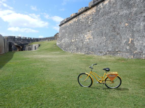 In the Moat