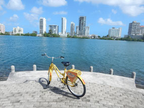 Laguna de Condado