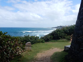 Sea
