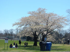 High Park
