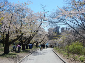 High Park