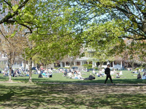 Trinity Bellwoods Park