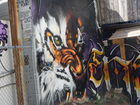 Toronto Graffiti Alley