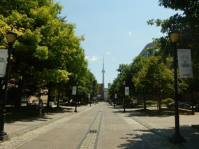 Kings College Circle
