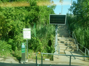 Long Branch GO