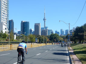 Lakeshore Blvd