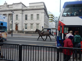 Horses