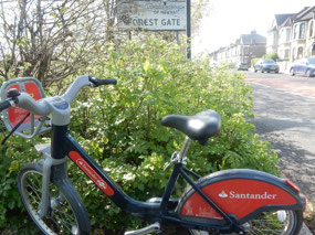 Forest Gate Border