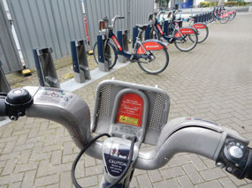 Bike Rental