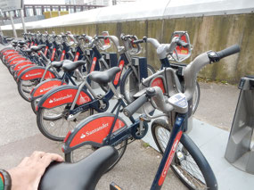 Bike Rentals