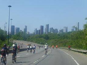 Toronto Skyline