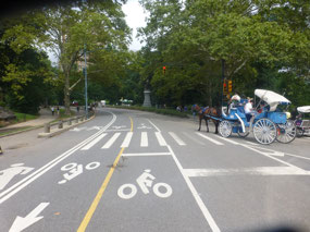 Bike Lanes