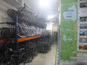Bike Rental