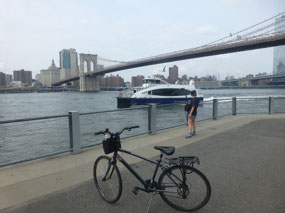 Under Brooklyn Bridge
