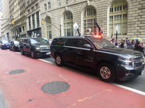 VIP Escort