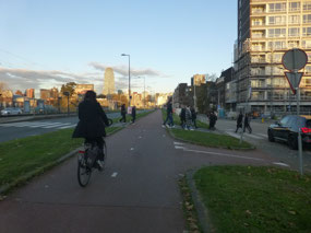 Bike Lane