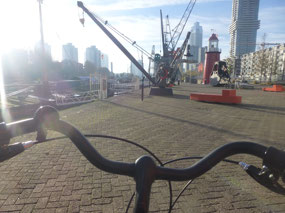 Biking Back