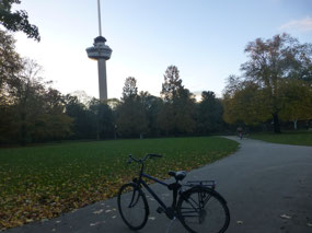 Euromast Tower