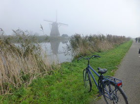 Marshes