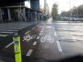 Bike Lane