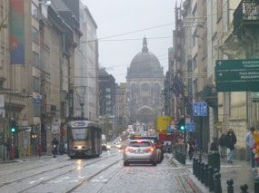 Distant View