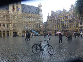 Rainy View