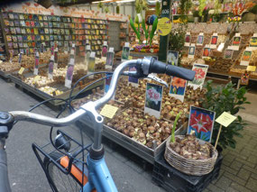 Flower Market