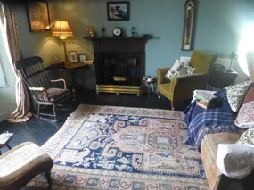 Area Rug