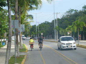 Biking Back