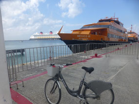 Cruise Ship