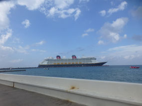 Cruise Ships