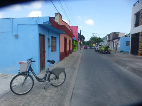 Painted Homes