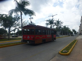 Tourist Bus