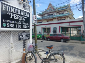 Casa China House