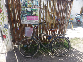 Hotel Bike Rental