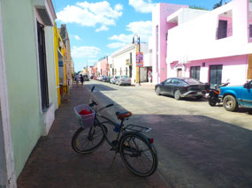Pink Homes